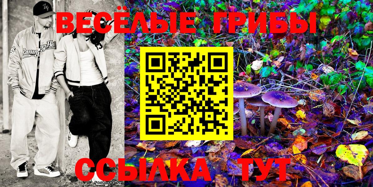 Боровичи  Галлюциногенные грибы Psilocybine cubensis  Вход с VPN 